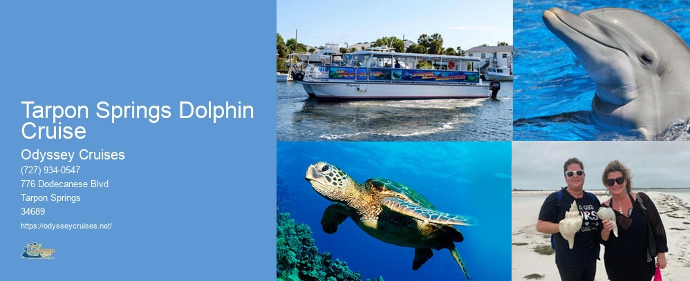 Tarpon Springs Dolphin Cruise